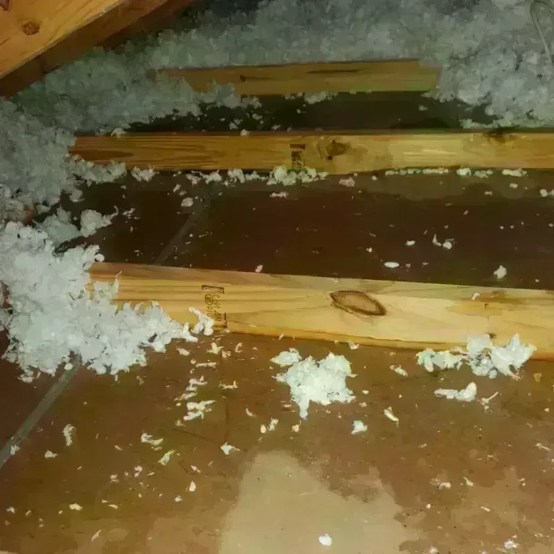 Attic Water Damage in Hannibal, MO