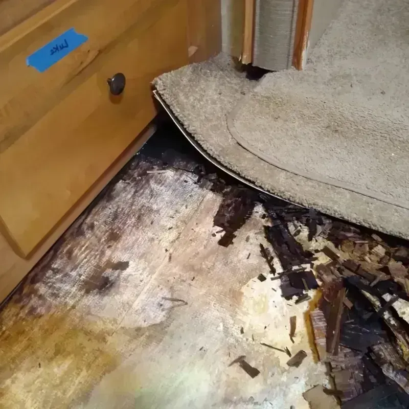 Wood Floor Water Damage in Hannibal, MO